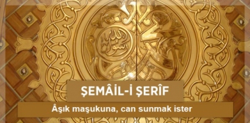 �em�il-i �er�f