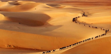 Dengesini Kaybetti ve D��t�