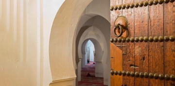 Tarikatlar�n Zuh�ru