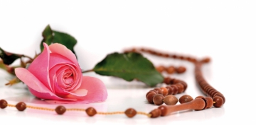 Y�r�k De�irmenler