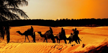 K�ssadan Hisseler�