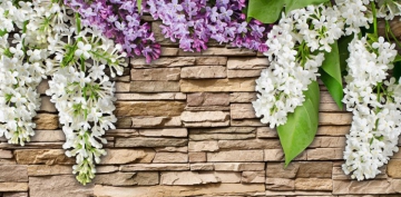 Ta�la�m�� Kalpleri Eritsek Merhametimizle