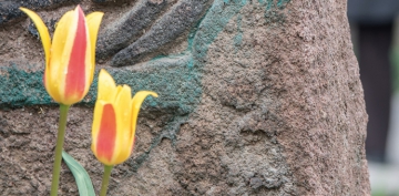 Kurban Etmeden �nce Ate�lerde Yanan �brahim Olmal�!