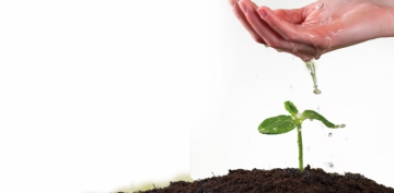 Seher Vakti G�rd�klerim