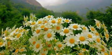 ��nsanlara G�zel Ahlak�n Gere�ine G�re Davran!� (Hadis-i �erif)