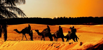 �mam Azam��n Talebesi, D�v�d et T�� (k.s)