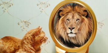 ��kar Postu Aradan, Kals�n Seni Yaradan!