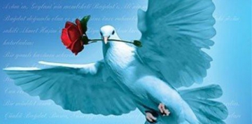 Kitap Tan�t�m� - MAHABBET MEKTUPLAR