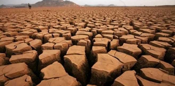 �imdi Ku�a Benzedi!