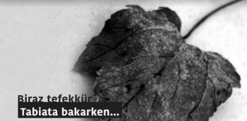 Biraz tefekk�r, Tabiata Bakarken