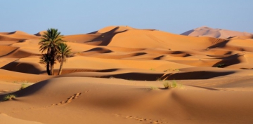 ��lde Yolculuk Eden �ki Arkada�