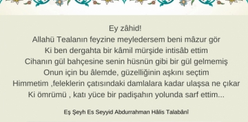�eyhu�l-�sl�m Haydȃr�zȃde �brȃh�m Efendi�nin, Kerk�kl� Abdurrahman H�lis Hazretlerinin Biyografisine ��eren Makalesi