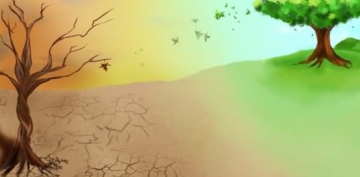 Etraf� G�zelle�tirmek