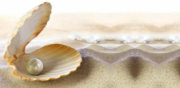 Has�l� A�k-u Muhabbettir Rab�ta 