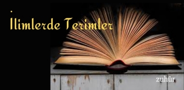 �limlerde Terimler