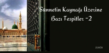 S�nnetin Kayna�� �zerine Baz� Tespitler -2
